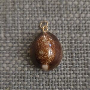 Brown Shell Pendant with Gold Accent